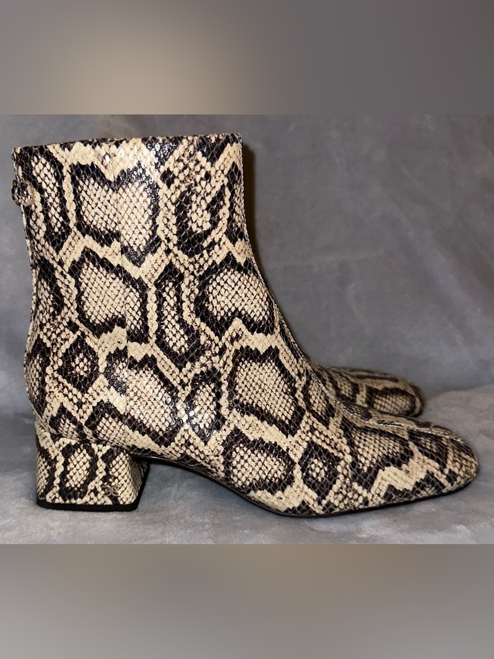 Sam Edelman NWT Women’s Size 7.5 Paige 2 Roccia Snakeskin Ankle Boots Block Heel - Picture 4 of 12